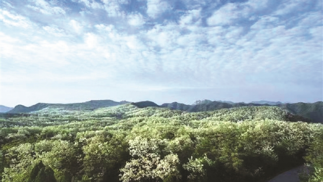 山西吕梁&middot;永由村