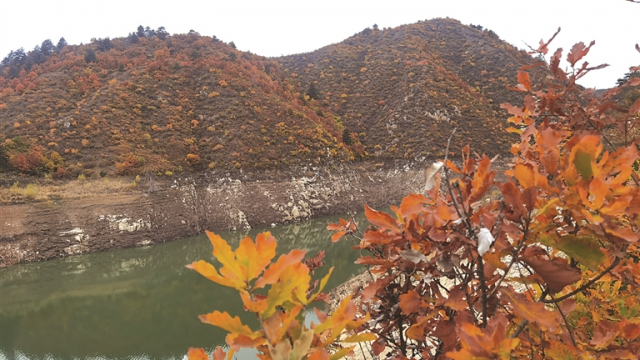 庞泉染彩林 美景入画来