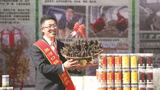 小小羊肚菌撑开&ldquo;致富伞&rdquo;