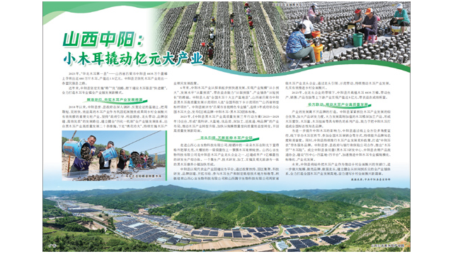山西中阳：小木耳撬动亿元大产业